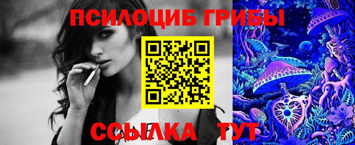 Галлюциногенные грибы Psilocybe  Галлюциногенные грибы Magic Shrooms  Вход с VPN  дарнет шоп  Знаменск 